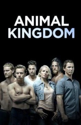 Królestwo zwierząt - sezon 4 / Animal Kingdom - season 4