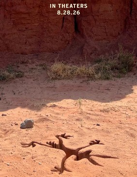 Coyote vs. Acme