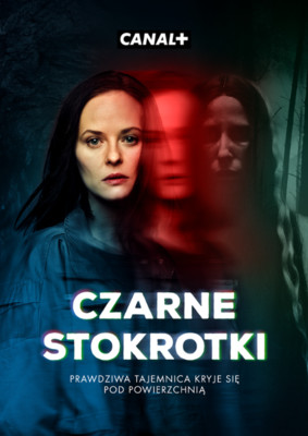 Czarne stokrotki - sezon 1 / Black Daisies - season 1