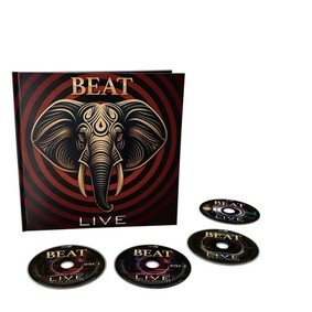 The Beat - Live