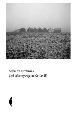 Szymon Drobniak - Gęsi odpoczywają na Gotlandii