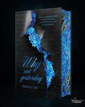 Emilia J. Lee - Why Not Yesterday