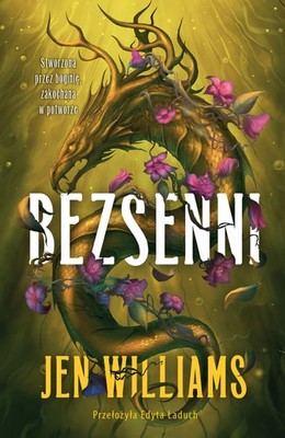 Jen Williams - Bezsenni
