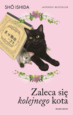 Sho Ishida - Zaleca się kolejnego kota