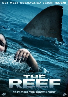 Rafa / The Reef