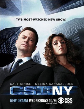 CSI: Kryminalne zagadki Nowego Jorku - sezon 8 / CSI: NY - season 8