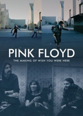 Pink Floyd - The Story of Wish You Were Here
