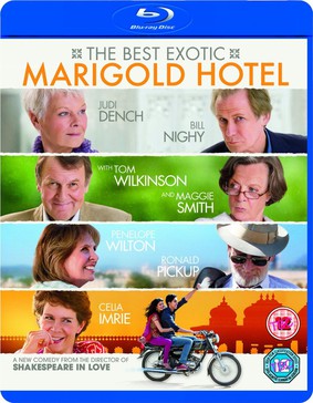 Hotel Marigold / The Best Exotic Marigold Hotel