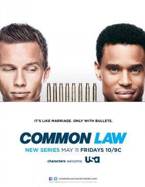 Partnerzy - sezon 1 / Common Law - season 1
