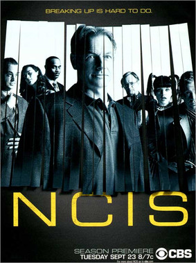 Agenci NCIS - sezon 10 / NCIS - season 10