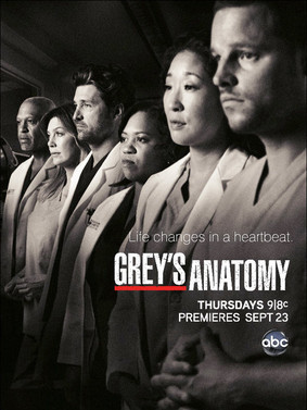 Chirurdzy - sezon 9 / Grey's Anatomy - season 9