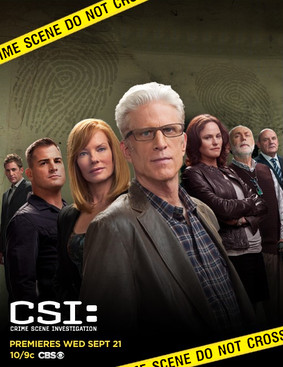 CSI: Kryminalne zagadki Las Vegas - sezon 14 / CSI: Crime Scene Investigation - season 14