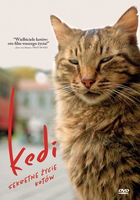 Kedi - sekretne życie kotów / Kedi