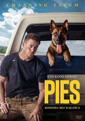 Pies / Dog