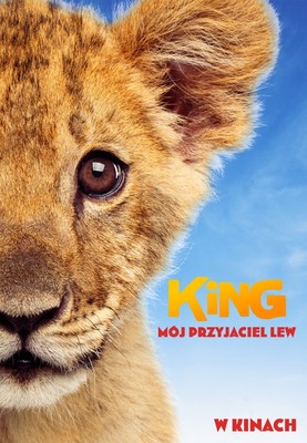 King: Mój przyjaciel lew / King