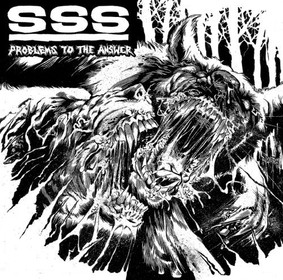 SSS - Problems To The Answer