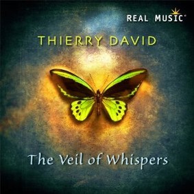 Thierry David - The Veil of Whispers