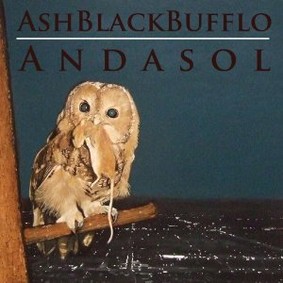 Ash Black Bufflo - Andasol