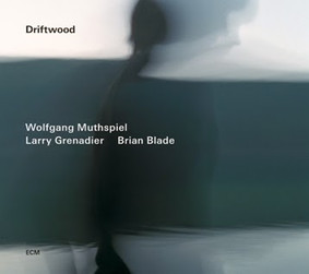 Wolfgang Muthspiel, Brian Blade, Larry Grenadier - Driftwood