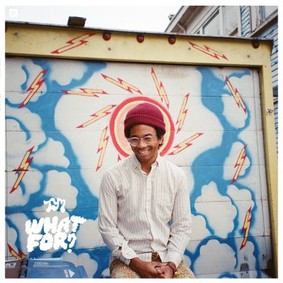 Toro y Moi - What For?