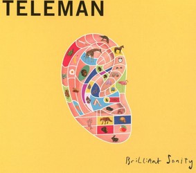 Teleman - Brilliant Sanity