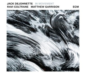 Jack DeJohnette, Ravi Coltrane, Matt Garrison - In Movement