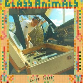 Glass Animals - How To Be a Human Being