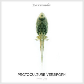 Protoculture - Versiform. Part 1