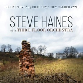 Various Artists - Steve Haines And The Third Floor Orchestra
