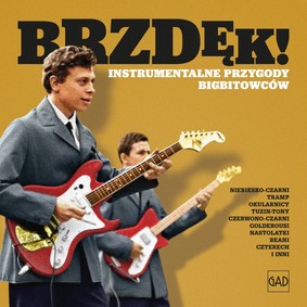 Various Artists - Brzdęk! Instrumentalne przygody bigbitowców
