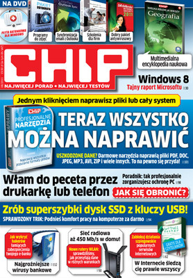 Chip 08/2011