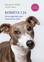 Steven Wolf, Lynette Padwa - Comet's Tale. Howa a rescued Dog Saved My Life