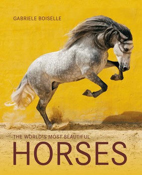 Gabriele Boiselle - The World's Most Beautiful Horses