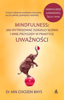 Jan Chozen Bays - Mindfulness: Jak wytresować dzikiego słonia i inne przygody w praktyce uważności