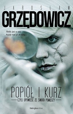 Jarosław Grzędowicz - Popiół i kurz