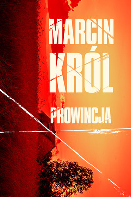 Marcin Król - Prowincja