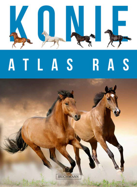 Atlas ras. Konie