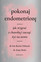 Amy Stein, Iris Kerin Orbuch - Beating Endo: How To Reclaim Your Life From Endometriosis