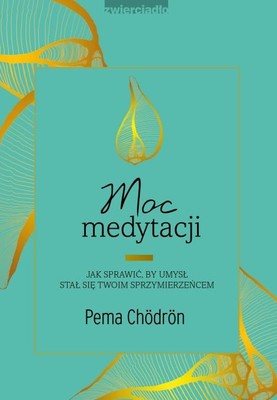 Pema Chödrön - Moc medytacji / Pema Chödrön - How To Meditate: A Practical Guide To Making Friends With Your Mind