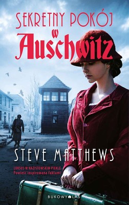 Steve Matthews - Sekretny pokój w Auschwitz