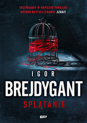 Igor Brejdygant - Splątanie