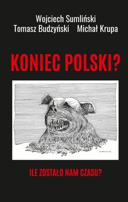 Wojciech Sumliński - Koniec Polski? Ile zostało nam czasu?